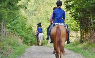 Hundleby Riding Centre, Hundleby image