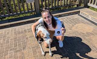 Doggy pawgramme image