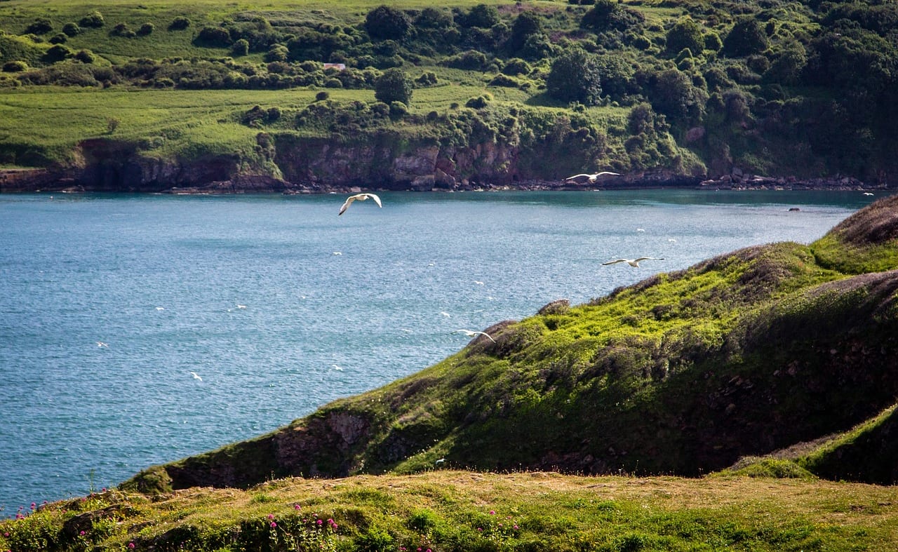 Two Moors Way image