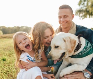 Things to do in Dorset with dogs