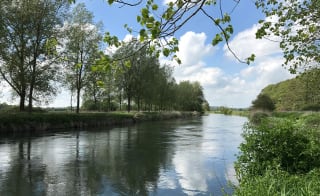 Park Grounds image
