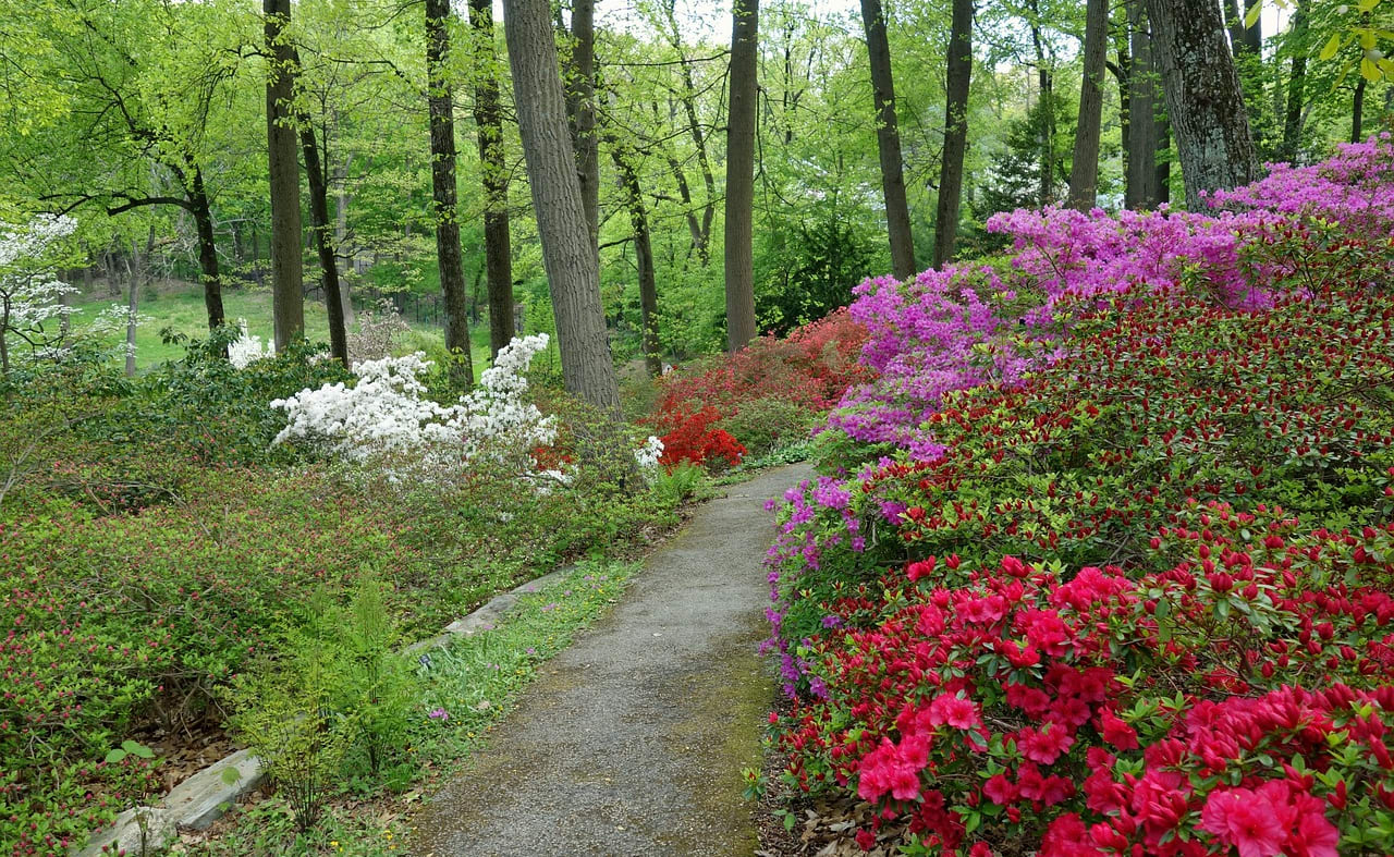 The Lincoln Arboretum image