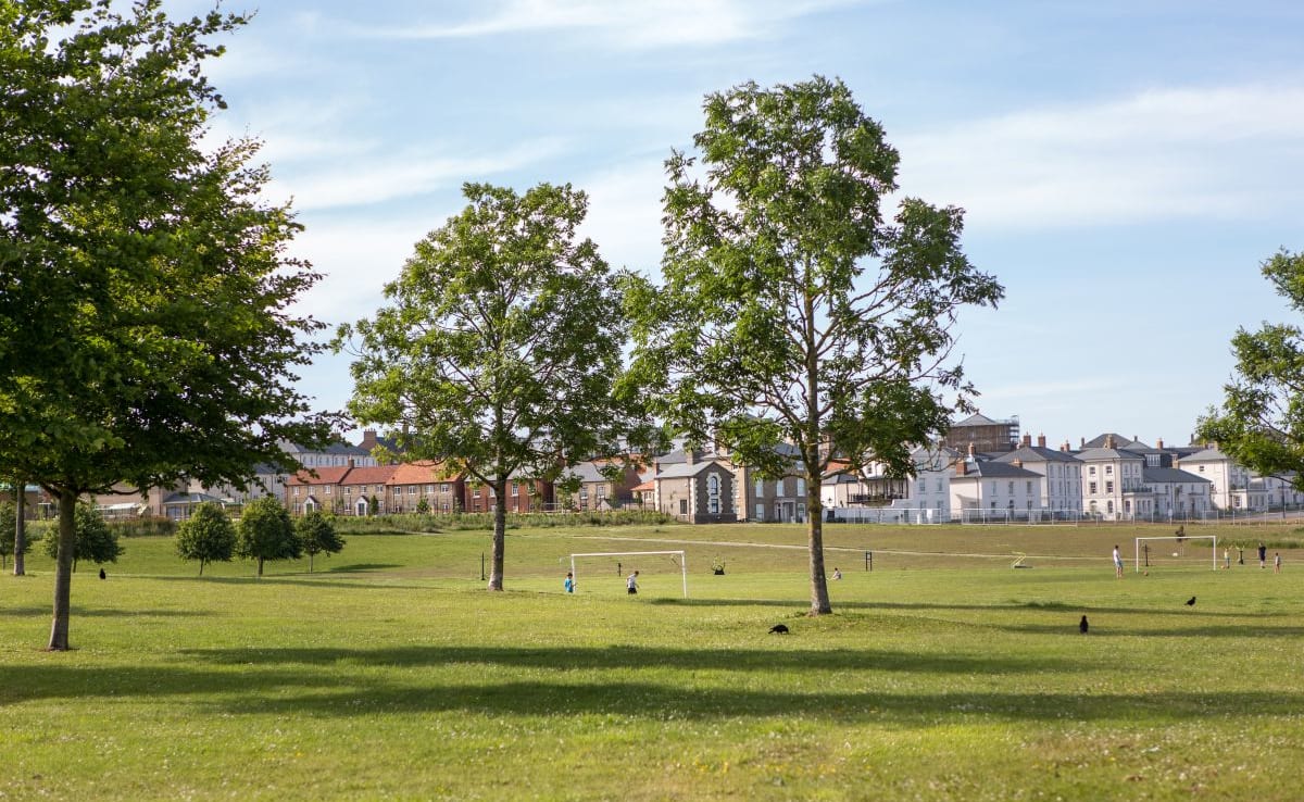 The Great Field at Poundbury image