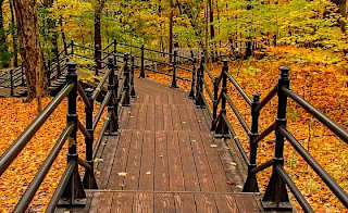 Camperdown Country Park image