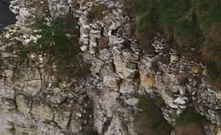 Cloughton and Hayburn Wyke image