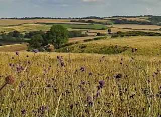 Red Hill Nature Reserve image
