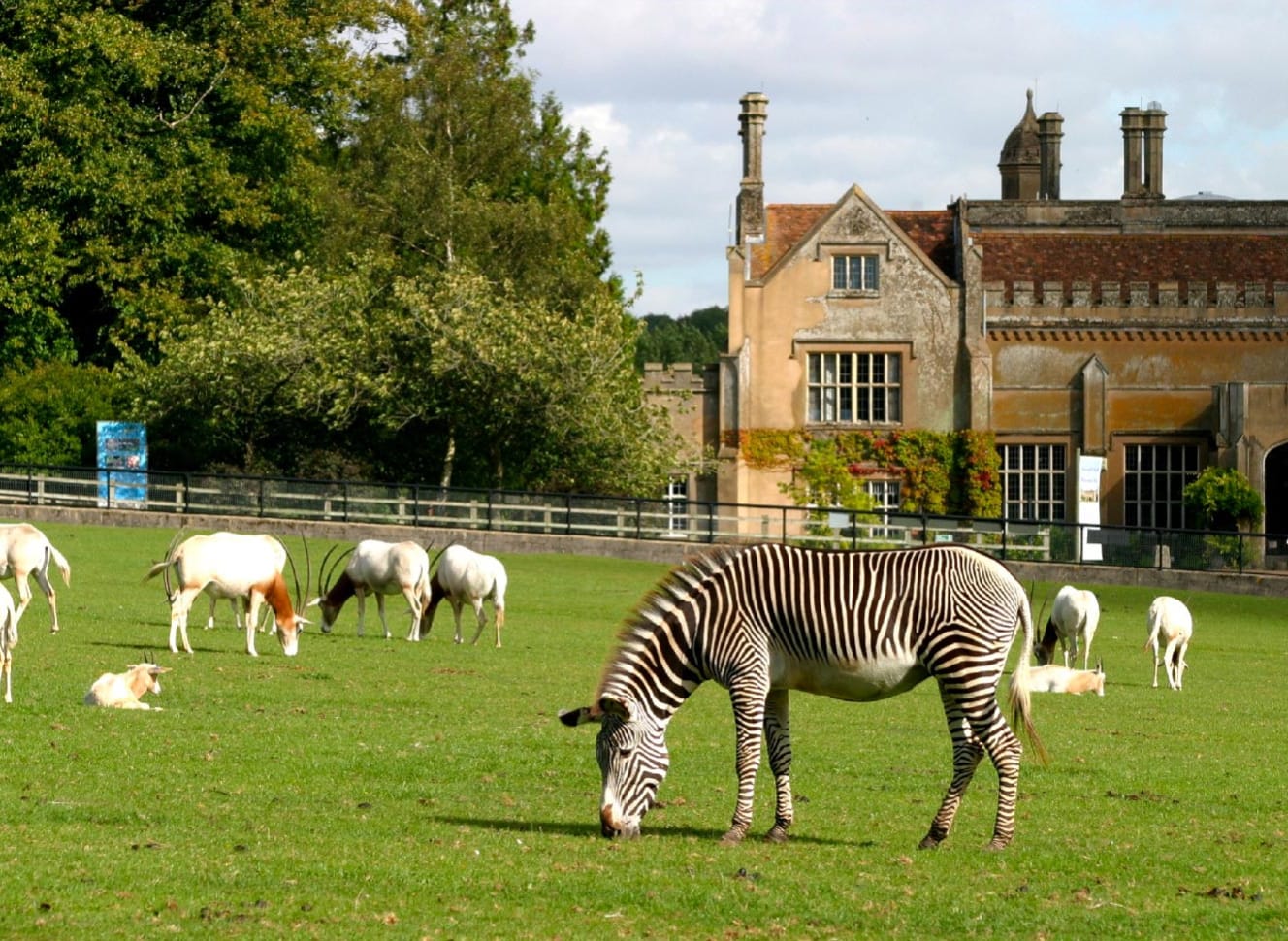 Marwell Zoo image