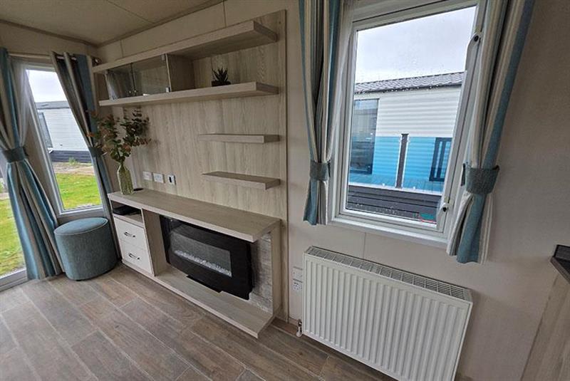 Beachcomber image