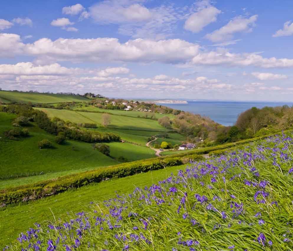 Our St Helens holiday park. There are many amazing hills to explore, with beautiful flowers and green space. It is a bright, sunny day.