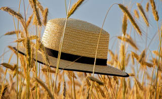 Bring some hats image