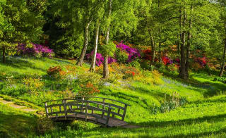 Cleethorpes County Park walk image