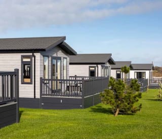 Some of our luxury lodges at one of our holiday parks. The view is of the exterior of the lodges, with the surrounding green space, and a small tree.