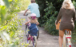 A family out cycling on a sunny day through the woods. image