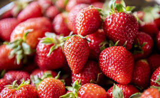 Cammas Hall Farm Shop image