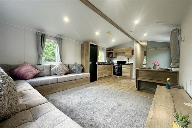 Ellerton Extra image