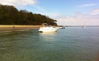 Mottistone Gardens to Sudmoor Point image