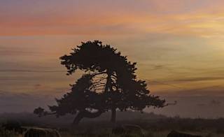 Dumfries and Galloway image