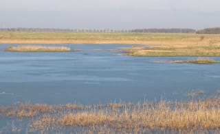 Gibraltar Point Nature Reserve Walk image