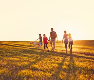 The top special occasion holiday ideas