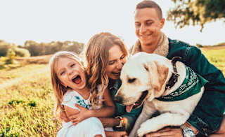 Dog friendly breaks image