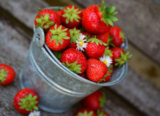Gardeners Farm Shop image