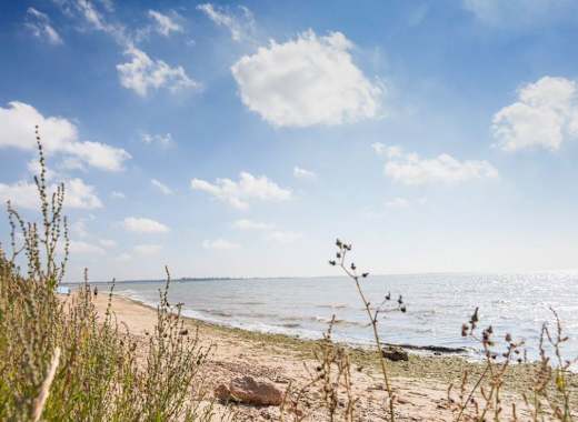 Mersea Island beach
