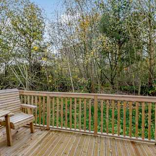 Woodland view from your lodge