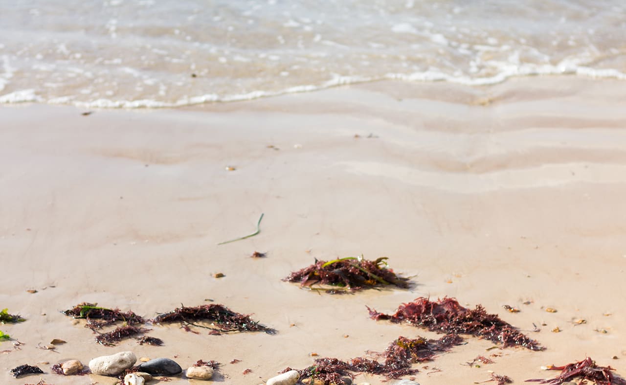 Totland Bay image