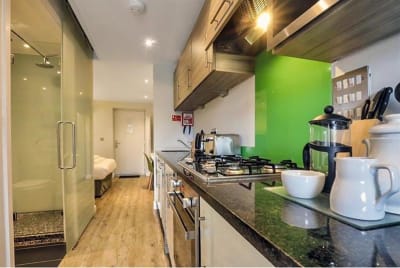 1 Bed Lakeside Apartment image