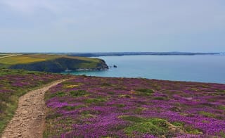 West Pentire and Polly Joke image