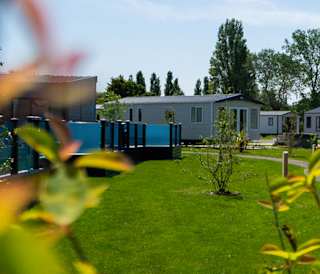 A view framed by trees with holiday caravans in the background, with a small lake in front.