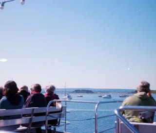 Top 12 boat trips in Dorset