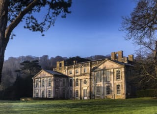 Appuldurcombe House image