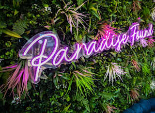 A uniquely decorated seating area with fake vines on the wall, a blue loveseat and a pink neon sign which says, ''Paradise Found