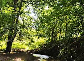 Hubbard's Hills image