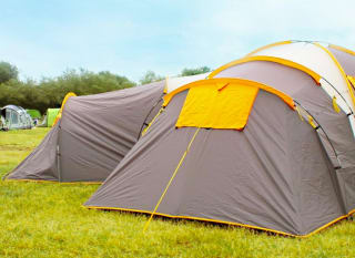A shot of the back of two grey and yellow pitched up tent on some grass. image