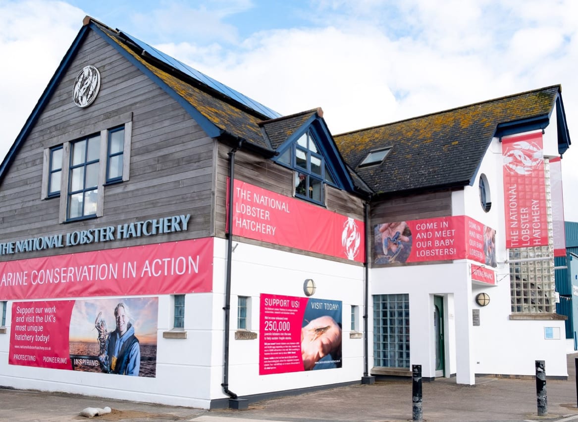 The National Lobster Hatchery image