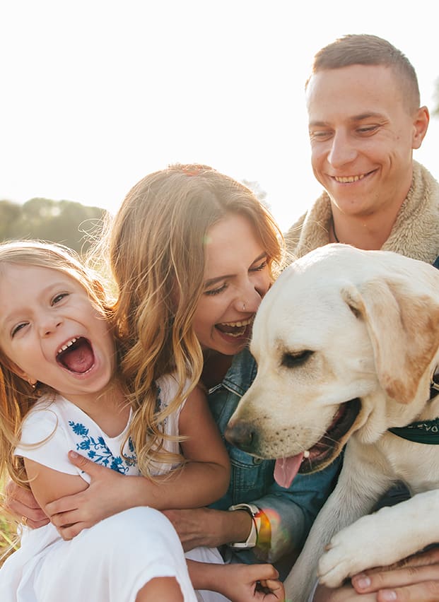 Things to do in Dorset with dogs