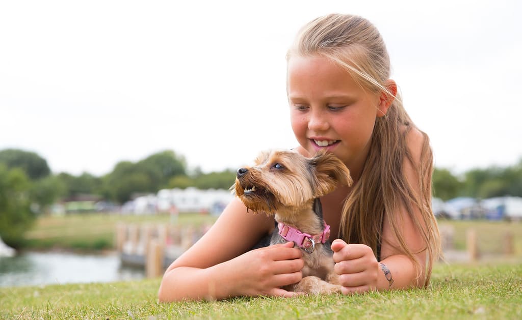 Doggy welcome packs image