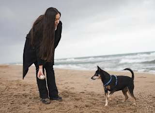 Fistral Beach image