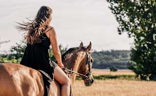 Horse Riding in St Ives image