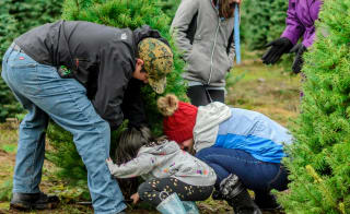 Christmas Scavenger Hunt image