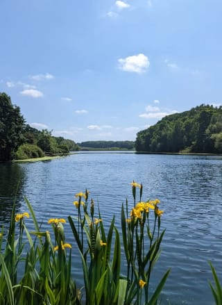 Things to do Nottinghamshire families