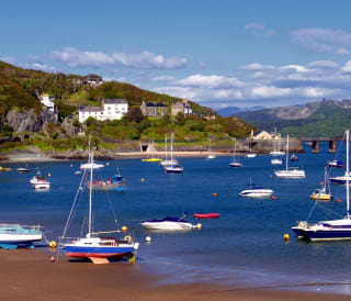 12 best dog-friendly pubs in Barmouth