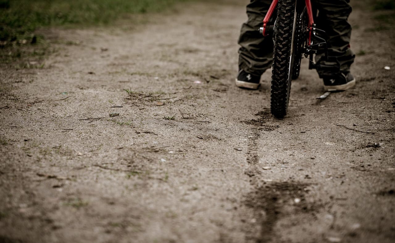 Marsh Tracks image