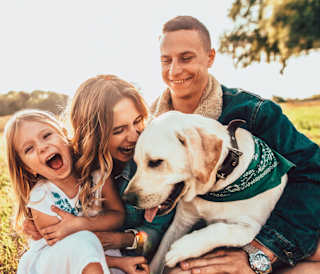 Our top things to do on holiday with your dog image