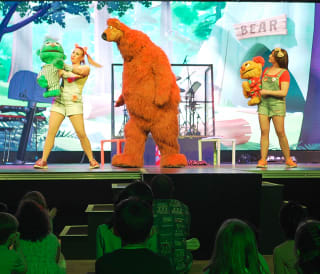 Bear in the Woods