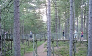 A family walking across a bridge at the Moors Valley Country Park in Hampshire. image