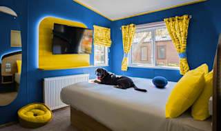 Pawsome Staycations image