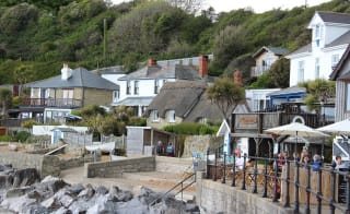 The Ventnor Winter Gardens image